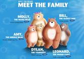 MEET THE BEARS MEET THE FAMILY MOLLY, THE MAMA BEAR 1 love pampering AMY, THE MIDDLE BEAR "Same night say Tom DYLAN, THE YOUNGEST BILL, THE OLDEST SON "A lot of kid LEONARD, THE PROUD PAPA