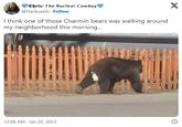 Chris: The Nuclear Cowboy @Hacksawls. Follow I think one of those Charmin bears was walking around my neighborhood this morning... 12:08 AM Jan 20, 2023 X