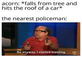 acorn: *falls from tree and hits the roof of a car* the nearest policeman: So anyway, I started blasting FX