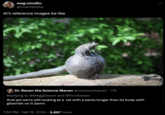 meg mindlin @invertebabe Al's reference images be like Dr. Raven the Science Maven @ravenscimaven. 17h Replying to @MeggGawat and @FrontiersIn And yet we're still looking at a rat with a penis longer than its body with giberrish on it damn 7:52 PM. Feb 15, 2024 5,867 Views :
