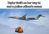Taylor Swift on her way to end a police officer's career N511DB