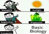 Vampire Superman Transgender Sunlight @jizziology Kryptonite Basic Biology