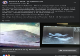 Aquarium & Shark Lab by Team ECCO February 6 at 8:15 AM. Good morning Facebook followers! This is a post you might want to read! Our stingray, Charlotte, is expecting! We have held this close to our hearts for over 3 months. We have ultrasound images confirmed by two supporters: Dr. Robert Jones, the Aquarium Vet out of Australia, and Becka Campbell, PhD candidate at Arizona State Univ. The really amazing thing is we have no male ray! We do have a couple of possible reasons for this event. We will go live with our next ultrasound on Thursday Feb 8 @ 1pm eastern time. We hope you join us It is a once in a life time science mystery to take part in. Bj ramer 8:04:24 AM Aquarium & Shark Lab by Team ECCO Local Business 780 HOSP:TEAM ECCO NAME: Ultrasound AGE: : SEX: I 19-11-24 03:53:07 PROB: SEC-1 FREQ: 5.EM GAIN: 37 11 :37:2 108 /CCB /B 168 Send message 91 comments 121 shares