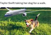 Taylor Swift taking her dog for a walk.
