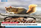 Next time we may not be so lucky | /r/dankmemes LIVE BREAKING NEWS POLICE DISCOVER HIDDEN WEAPONS CACHE 4:59 POSSIBLE MASS SHOOTING PREVENTED