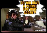 Don't forget your Acorn permit | /r/dankmemes DO YOU HAVE A PERMIT FOR THAT ACORN?! VIELLE OPEN TACKLEBERRY