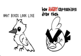 WHAT BIRDS LOOK LIKE how ANGRY cartoonists draw them