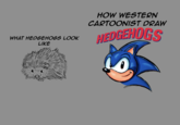 WHAT HEDGEHOGS LOOK LIKE HOW WESTERN CARTOONIST DRAW HEDGEHOGS