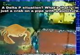 A Delta P situation? What's that? I'm just a crab on a pipe witha puncture. THEONERTINE GODE Z