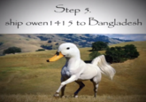 Step 5. ship owen 1415 to Dangladesh