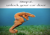 Step 6. unlock your your car door