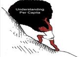 Understanding Per Capita