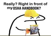 Really? Right in front of my OSHA HANDBOOK? OSHA OSHA Construction Safety Handbook