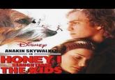 DISNEY ANAKIN SKYWALKE IN HONEY SLAUGHTERED THE KIDS