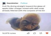 lizardsister Follow fruit fly diving straight toward the glass of apple cider vinegar mixed with dish soap already littered with the corpses of his kin 14,979 notes DD