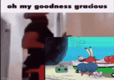 oh my goodness gracious imgiip.com &