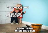 imgflip.com COLD MILK ENJOYER ROOM TEMP MILK ENJOYER BODY TEMP MILK ENJOYER