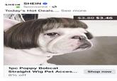 SHEIN Sponsored Today's Hot Deals.... See more SHEIN 1pc Poppy Bobcat Straight Wig Pet Acces... 8% off $3.80 $3.46 Shop now