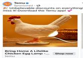 Temu Sponsored Unbelievable discounts on everything! miss it! Download the Temu app! TEMU ● Bring Home A Lifelike Chicken Egg Lamp -... Shop now temu