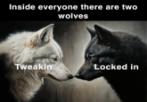 Inside everyone there are two wolves Tweakin Locked in
