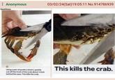 : Anonymous Karral Hom Using a pair of poultry shears, quickly cut off the front of the crab about % inch behind the eyes. This kills the crab. 03/02/24(Sat) 19:05:11 No.914786939 This kills the crab.
