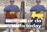 San spongebob boiling in a pot of s--- or da shitbob boiling in a pot of sponge Ifo today