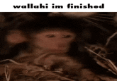 wallahi im finished