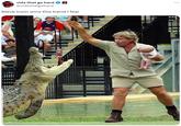 vids that go hard @vidsthatgohard Steve Irwin wins this trend I fear