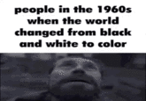 people in the 1960s when the world changed from black and white to color