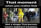 That moment when you realize that Not a single Thai person wears elephant trousers.