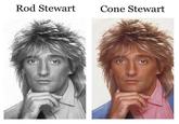 Rod Stewart Cone Stewart
