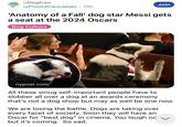 Dog Free r/Dogfree u/P----- Caucasian • 15h Join 'Anatomy of a Fall' dog star Messi gets a seat at the 2024 Oscars Dog Culture nypost.com All these smug self-important people have to slobber all over a dog at an awards ceremony that's not a dog show but may as well be one now. We are losing the battle. Dogs are taking over every facet of society. Soon they will have an Oscar for "best dog" in cinema. You laugh no but it's coming. So sad.
