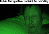 Fish in Chicago River on Saint Patrick's Day