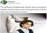 Declan @_Declander_ Timothee Chalamet looks like a pointy italian shoe that was turned into a real boy by a witch's curse