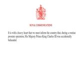 ROYAL COMMUNICATIONS It is with a heavy heart that we must inform the country that, during a routine prostate operation, His Majesty Prince King Charles III was accidentally beheaded.
