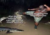 the genie telling me I can't wish for more wishes me wishing for more genies