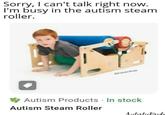 Sorry, I can't talk right now. I'm busy in the autism steam roller. AutisticBride Autism Products . In stock Autism Steam Roller AutisticBride