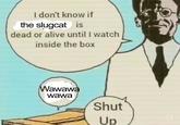 I don't know if the slugcat is dead or alive until I watch inside the box mailip.com Wawawa wawa Shut Up Π