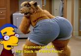 "Remember Alf? He's back in PAWG form!"