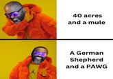 40 acres and a mule A German Shepherd and a PAWG