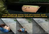 I'm making wine out of raisins and non-political dank memes down here