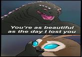 www You're as beautiful as the day I lost you