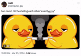 matt @computer_gay two dumb bitches telling each other "exactlyyyyy" II GIF 10:28 AM - Mar 23, 2024 5.1M Views