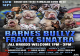 24TH LOCATION TO BE REVEALED SOON IN SE SEPT SINTRO & BARNES BULLYZ FRANK SINATRA ALL BREEDS WELCOME 1PM - 3PM PHOTOGRAPHERS CARPARK NEARBY SHOPS PLAYGROUND NEAR TRAIN STATION NEARBY DRINKS & FOOD NO AGGRESIVE DOGS NO DOGS IN HEAT CLEAN UP AFTER YOUR DOG LONDON'S BIGGEST DOG LINK UP OF 2023 INSTA: BARNES BULLYZ LONDON & XL.B.FRANKSINATRA G.B.A GRAPHICS BY ARES