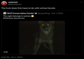 redacted @Bozo Haram The f--- does this have to do with school bonds Wolf Conservation Center @nywolforg⚫ Oct 1, 2020 The night belongs to wolves #fullmoon (sound on) 0:30 9:49 PM Oct 1, 2020 •