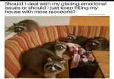 A raccoon meme I found one time and decided to repost here. Good for a quick laugh, in my amateur opinion.