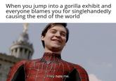 When you jump into a gorilla exhibit and everyone blames you for singlehandedly causing the end of the world They hate me.