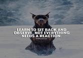 LEARN TO SIT BACK AND OBSERVE, NOT EVERYTHING NEEDS A REACTION. influencr