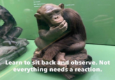of genital area Learn to sit back and observe. Not everything needs a reaction.