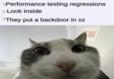 >Performance testing regressions >Look inside >They put a backdoor in xz